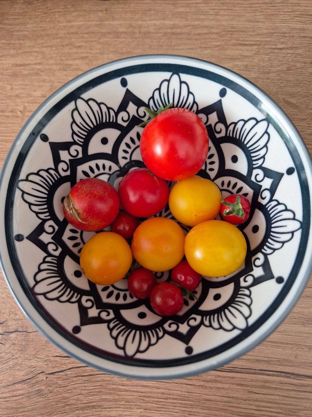 Sprachen lernen leicht gemacht: Gemeinsamkeiten der Tomate entdecken